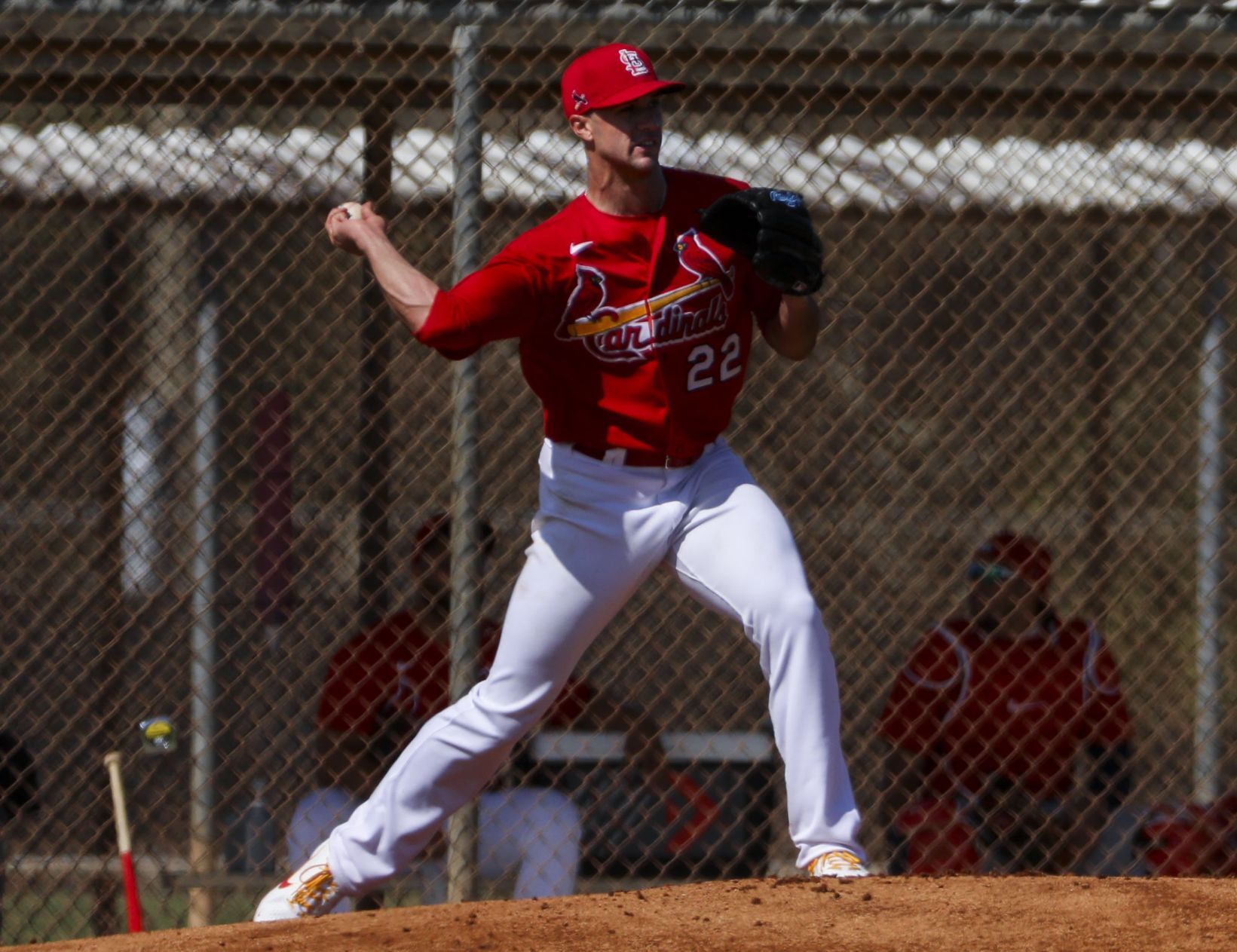 Second day of Cardinals full squad workouts